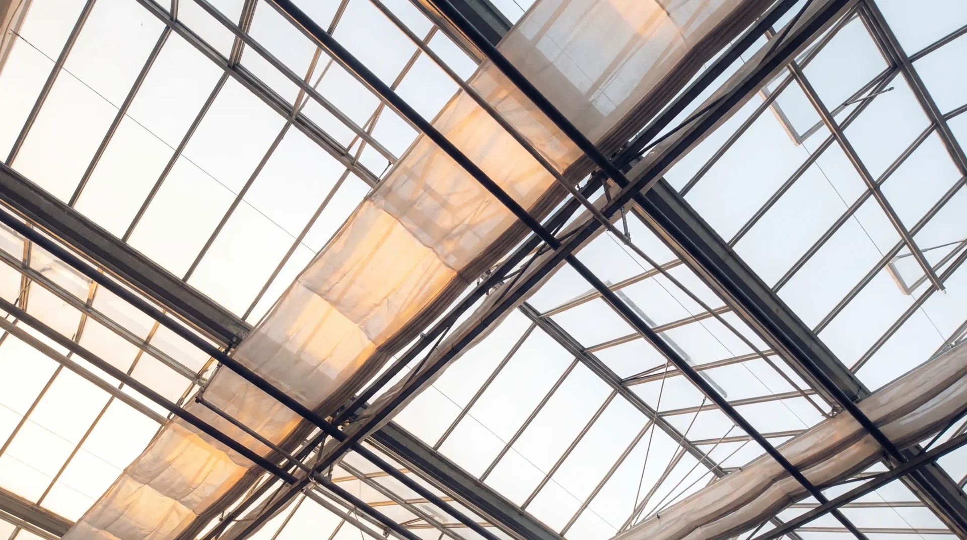 Glasdach des Schattenhauses der Gärtnerei Volk in Braunschweig — Stahlgitter und Stoffshading im Abendlicht